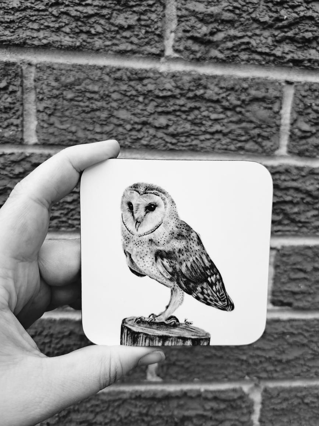Barn Owl Coaster 