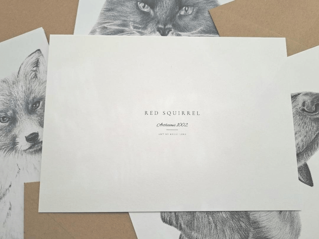 Red Squirrel Greetings Card