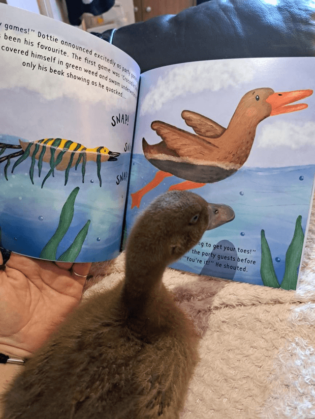 That's My Dottie Picture Book