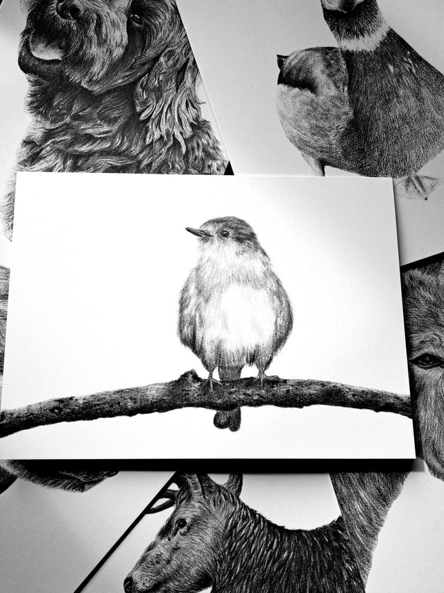 Robin Greetings Card 