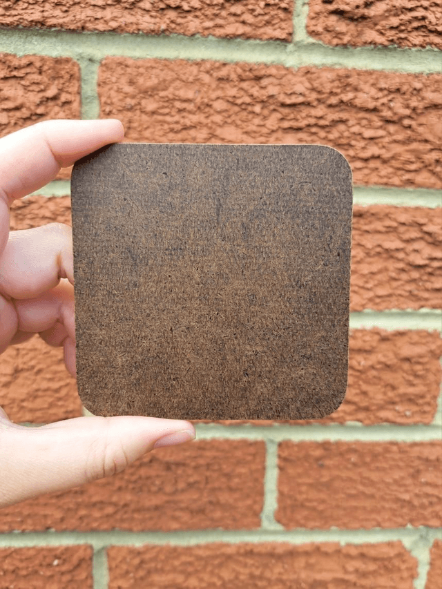 Red Squirrel Coaster