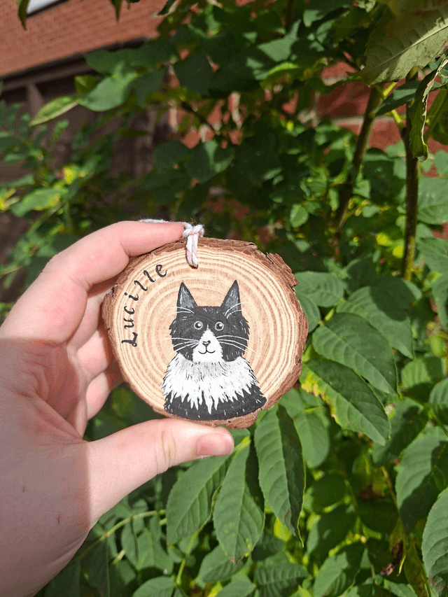 Hand-Painted Pet Woodslice