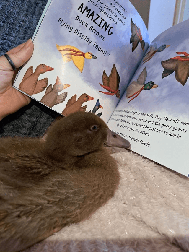 That's My Dottie Picture Book
