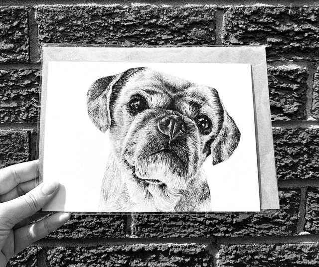 Pug Greetings Card