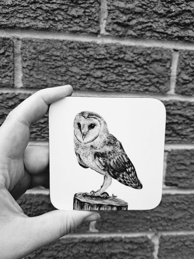 Barn Owl Coaster 
