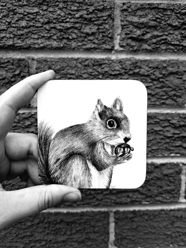 Red Squirrel Coaster