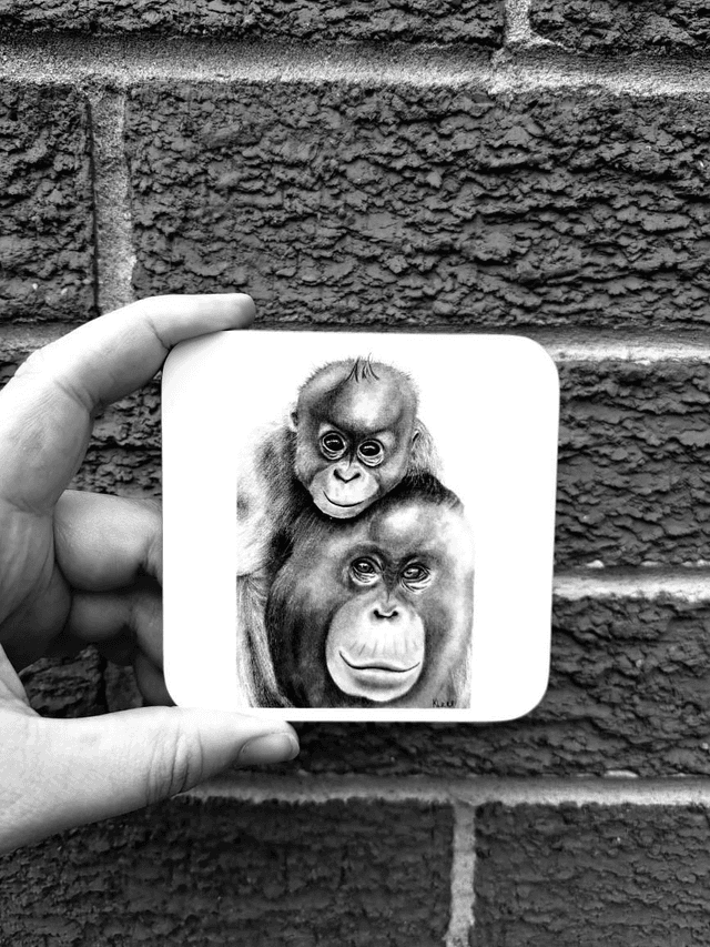 Orangutan Coaster