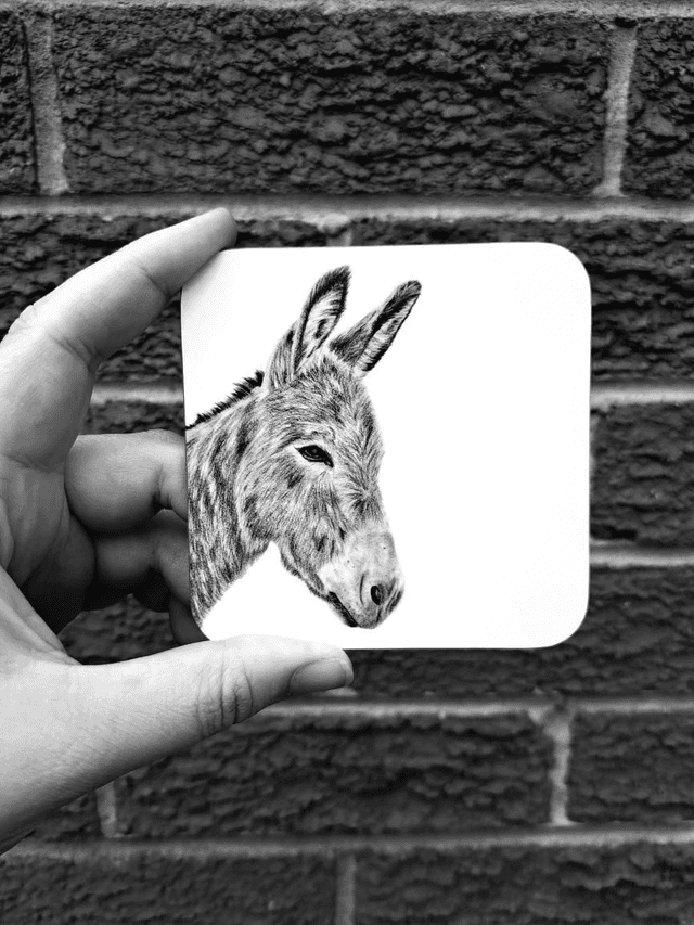 Donkey Coaster 