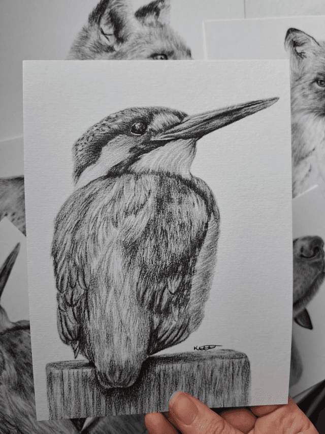 Kingfisher Mini Print 