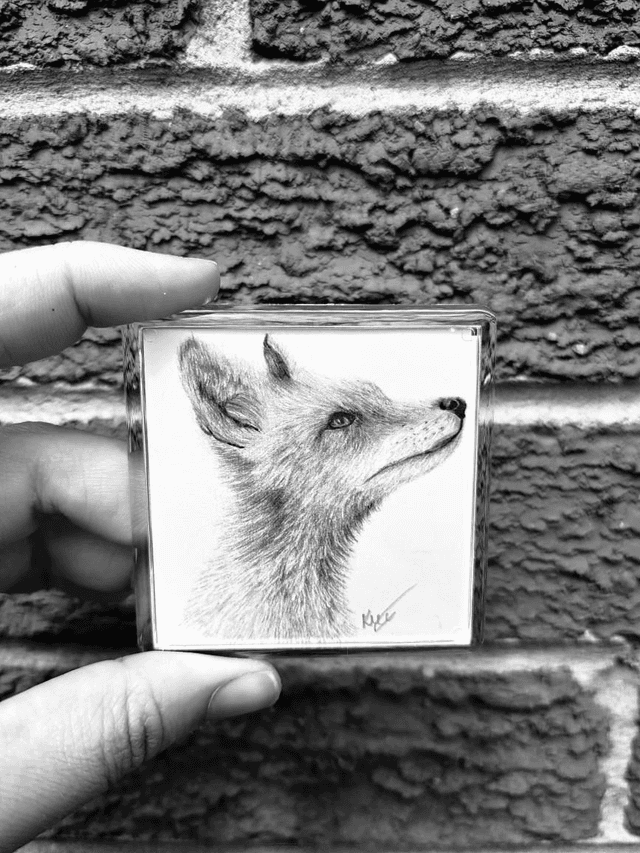 Fox Magnet