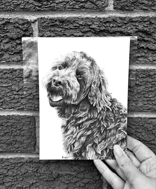 Cockapoo Mini Print