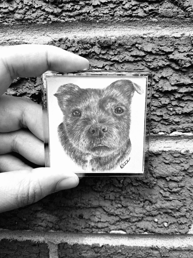 Staffie Magnet
