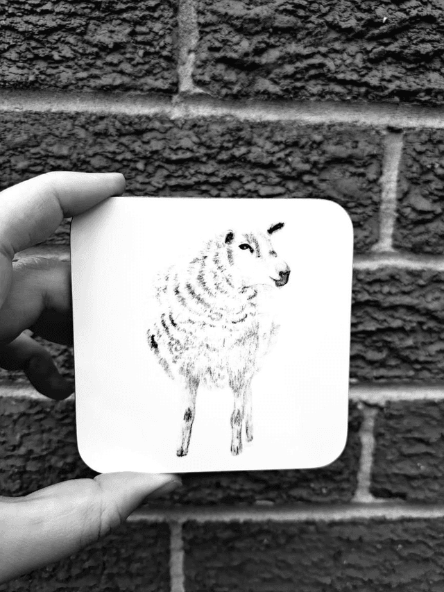 Sheep Coaster