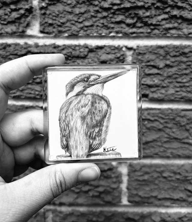 Kingfisher Magnet