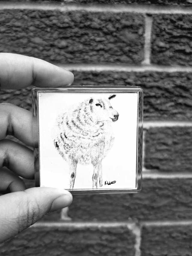 Sheep Magnet 