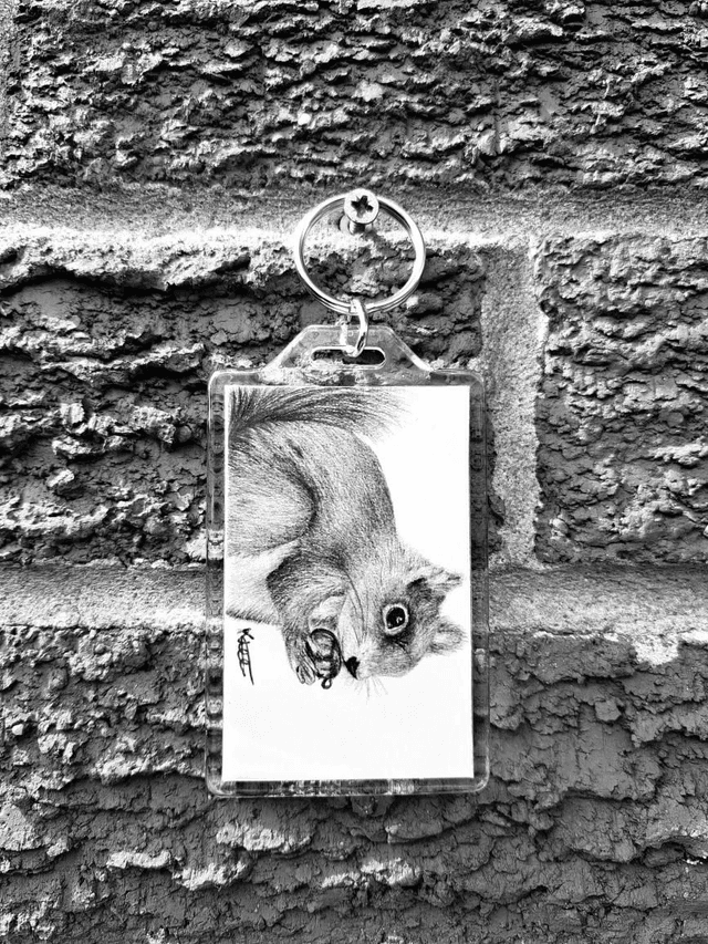 Red Squirrel Keyring