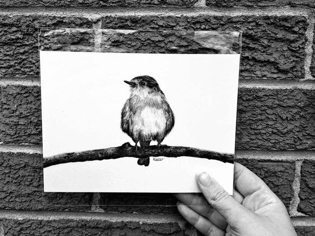Robin Mini Print