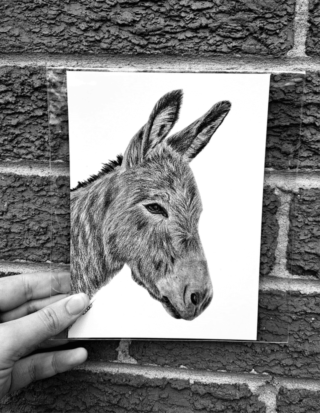Donkey Mini Print