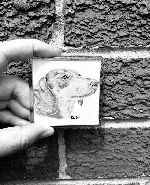 Dachshund Magnet