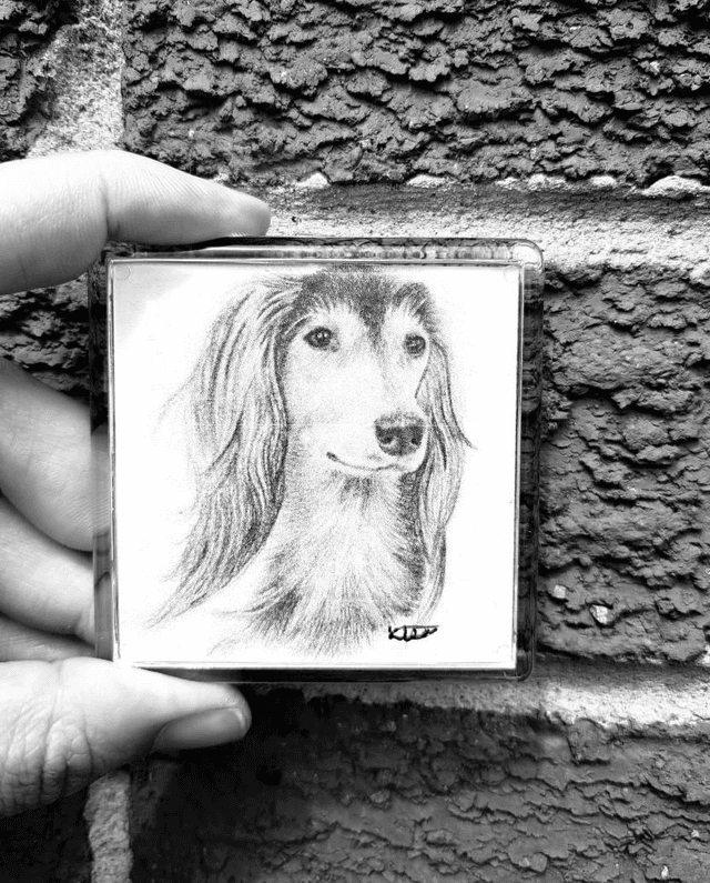 Saluki Magnet