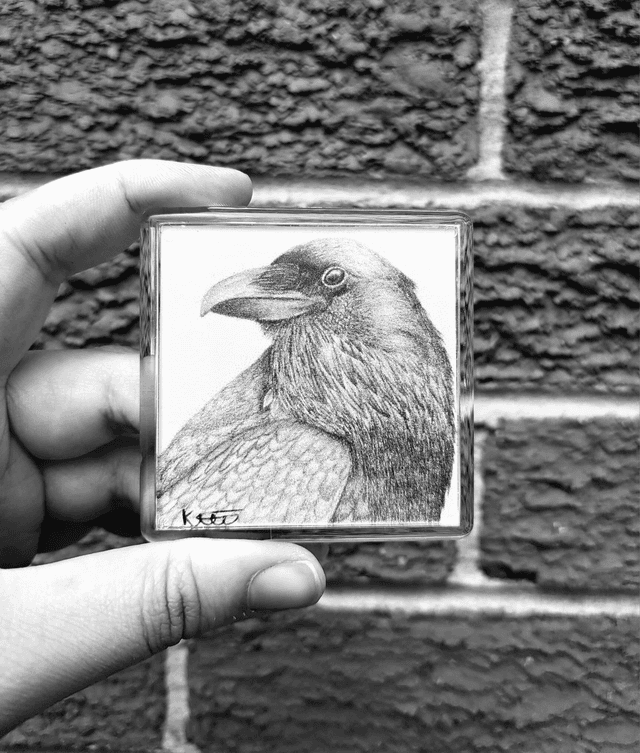 Raven Magnet