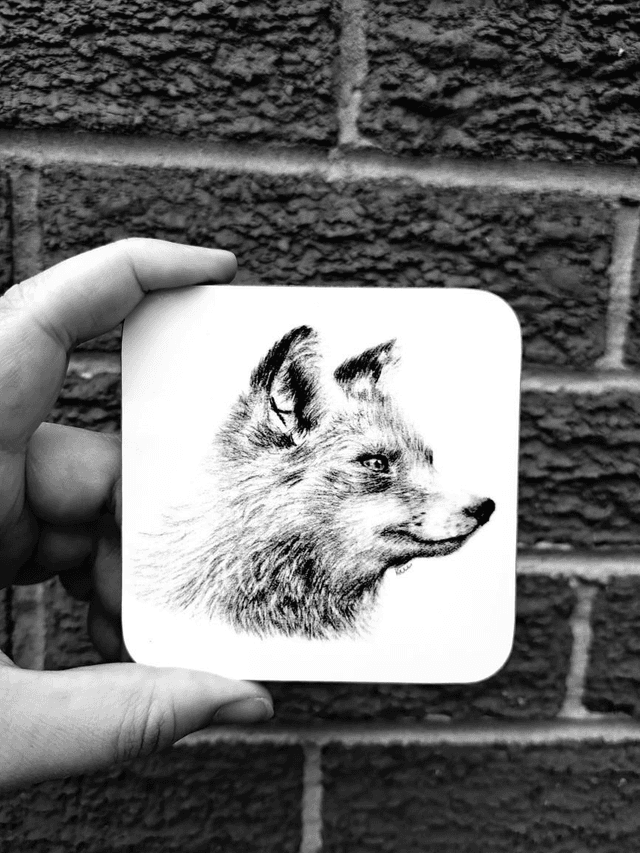 Fox Coaster 
