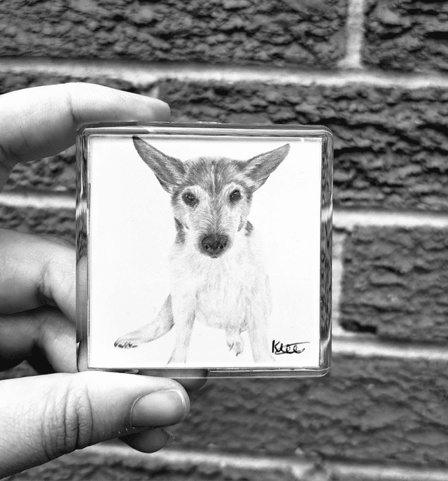 Jack Russel Magnet