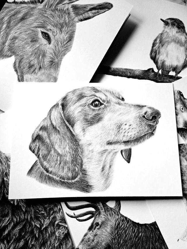 Dachshund Greetings Card