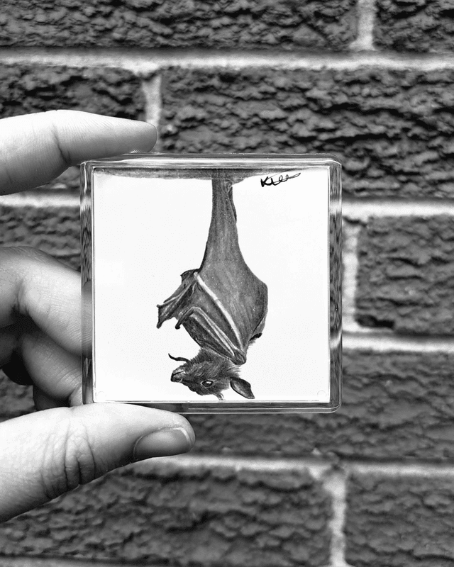 Bat Magnet
