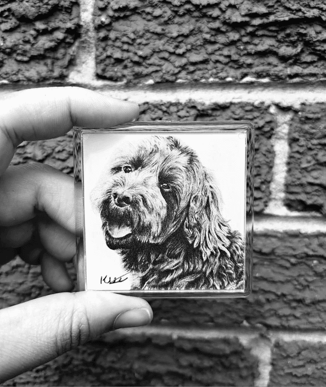 Cockapoo Magnet